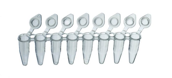 PCR Strip Tubes | 8- & 12-Tube Strips | BRANDTECH