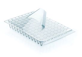 PCR sets 96-well plates and films, PP, well-Rand not elevated, inclusive 50 foils for qPCR, polyester, BIO-CERT® PCR QUALITY